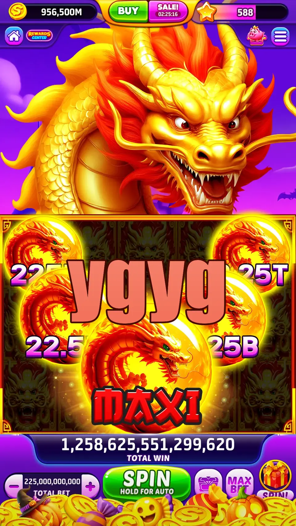 ygyg Login