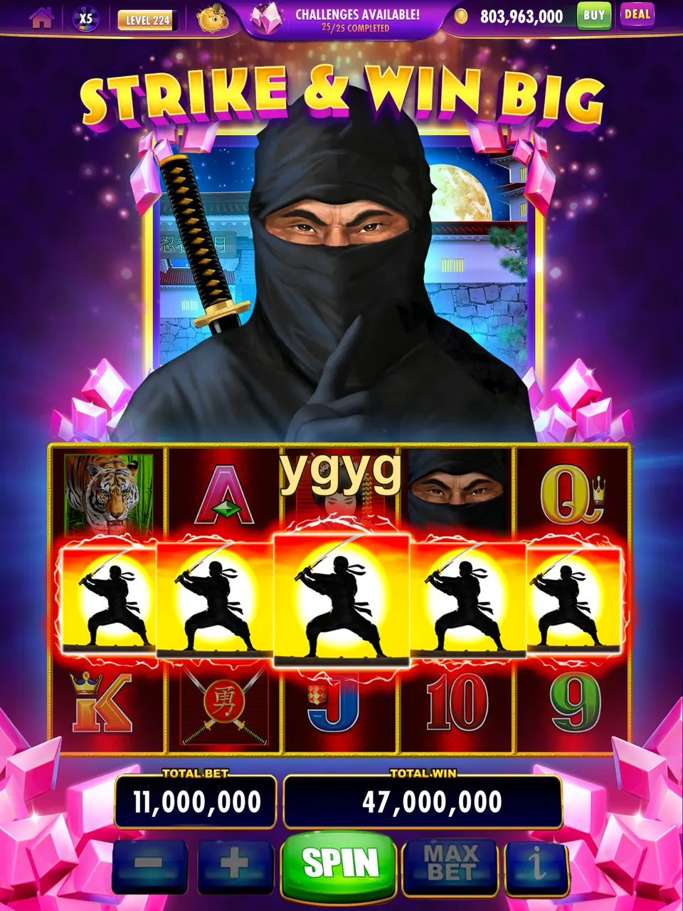 ygyg Login